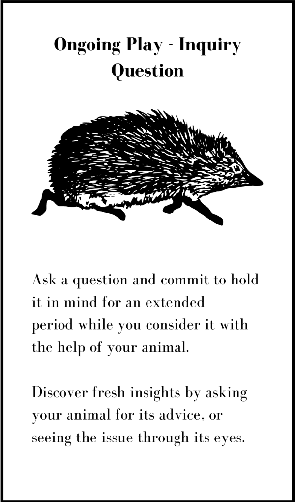 Card from Gift horse with a picture of a hedgehog and instructions to hold a question in your mind and consider through the eyes of a hedgehog
